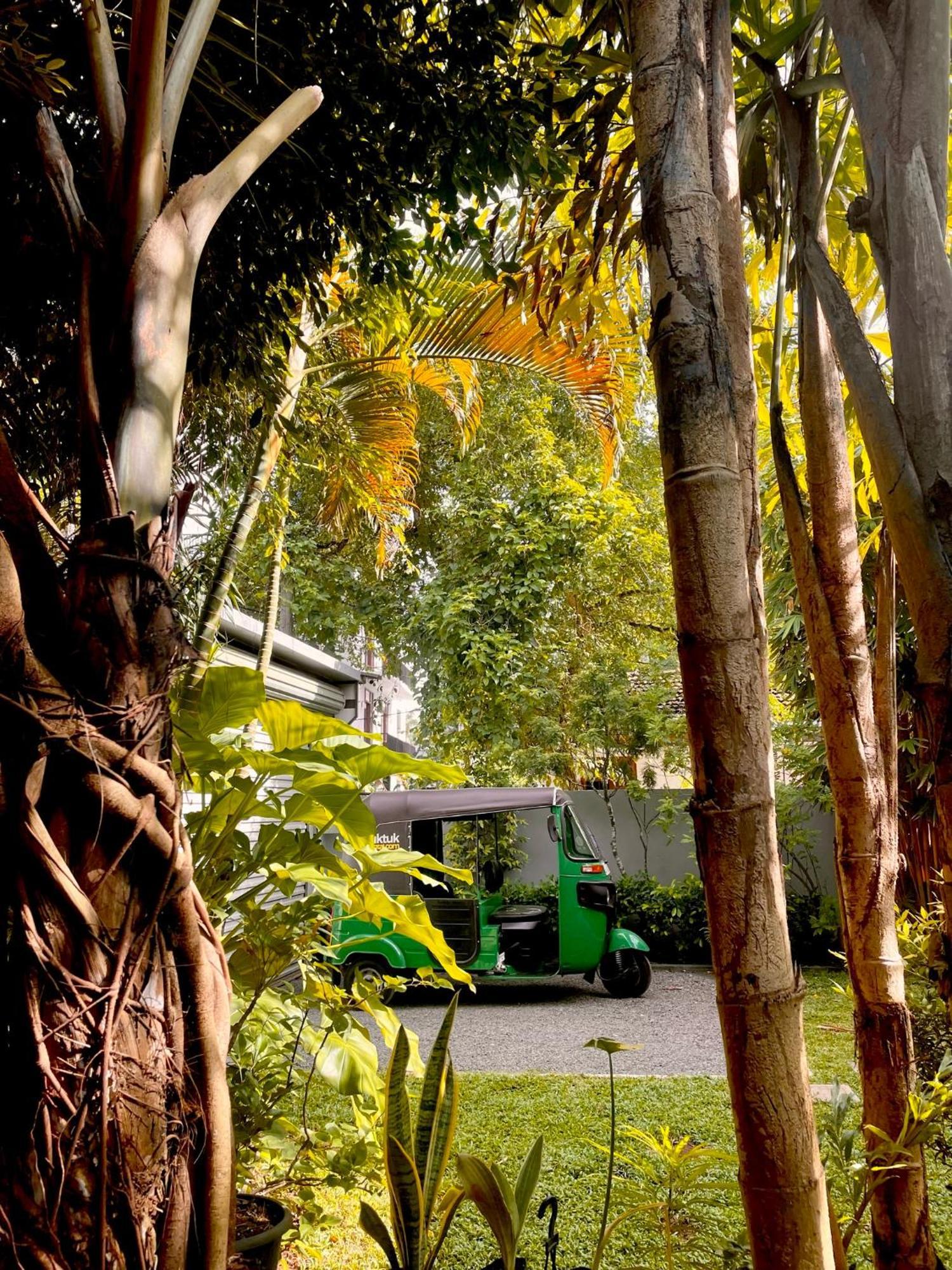 The Yard Hiriketiya Hotell Dikwella Eksteriør bilde